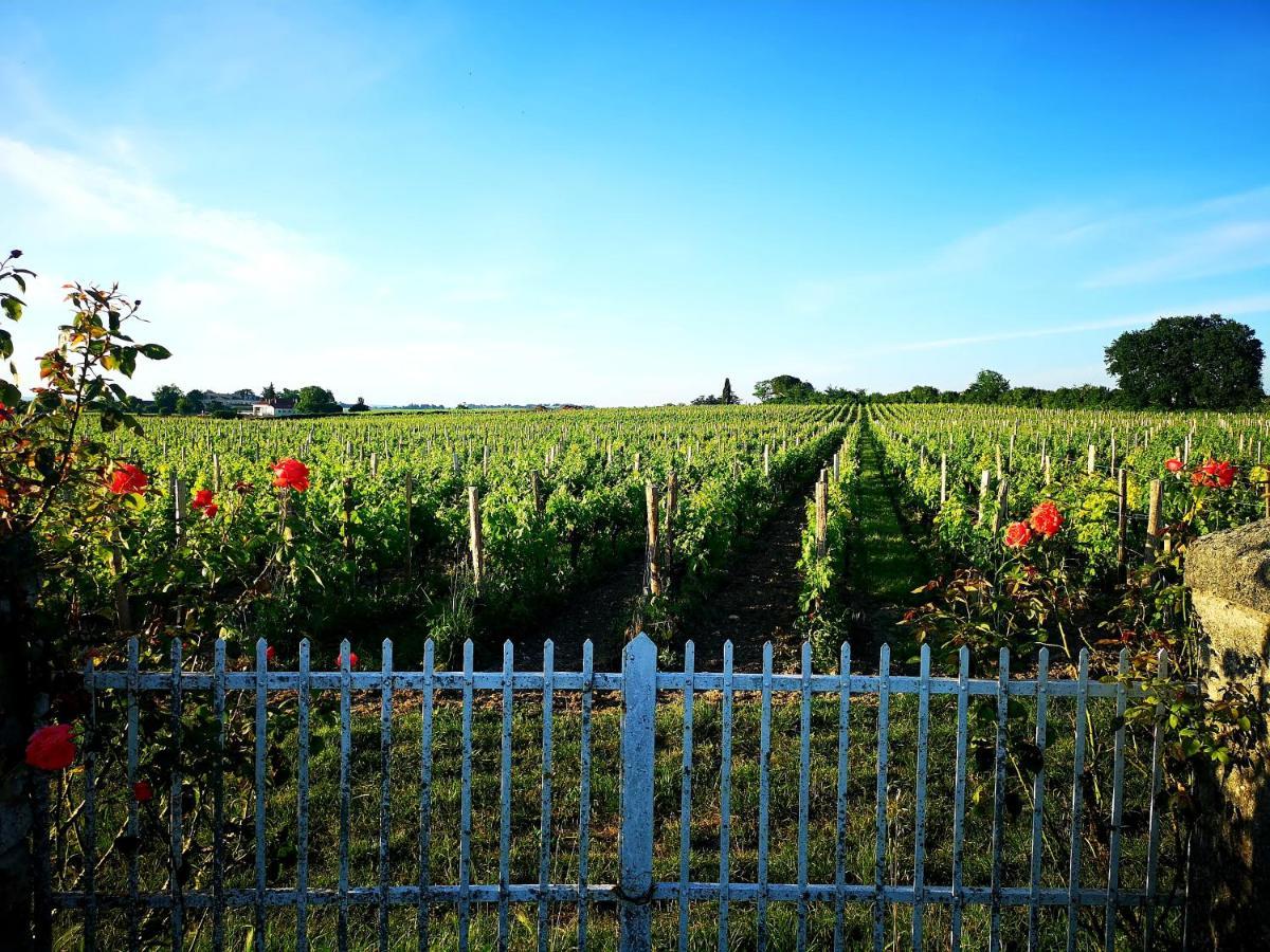 La Maison Des Vignes Saint Emilion Appartement Buitenkant foto